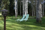 IMG_3342.jpg